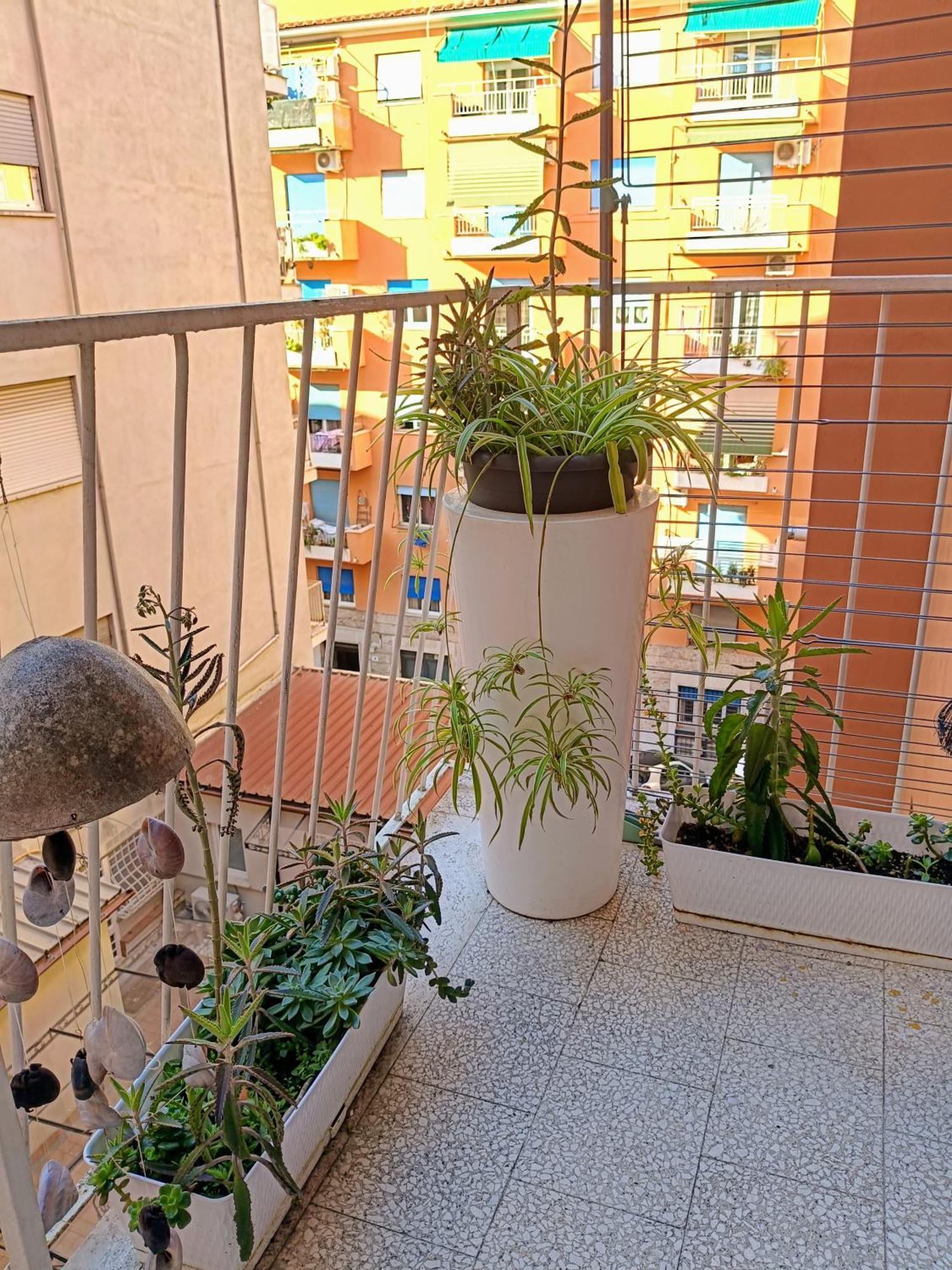 Apartment Un Angolo Di Oriente A Due Passi Da San Pietro Rome